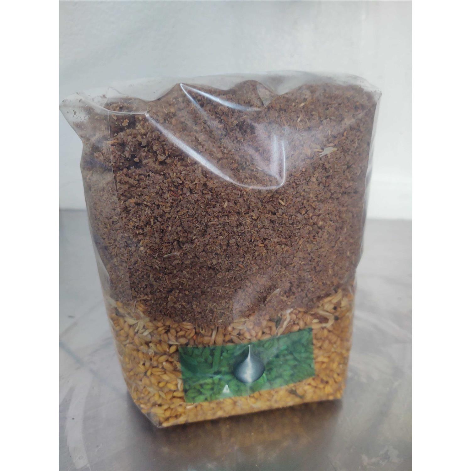 All-in-one Mushroom Grow Bag