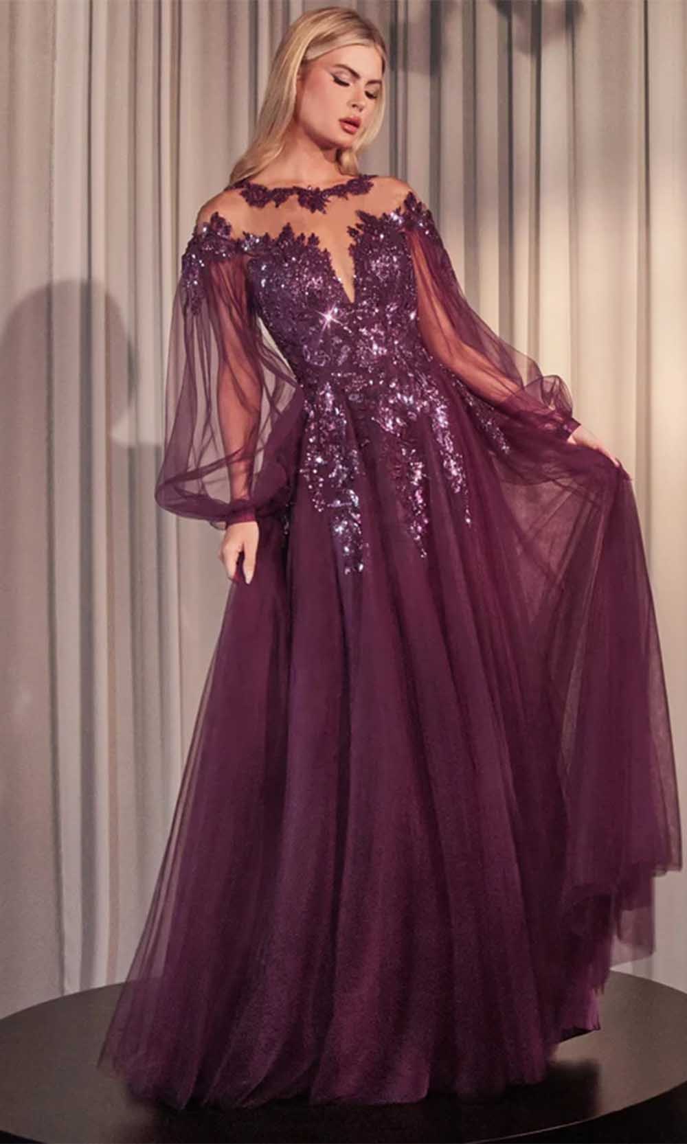 Bishop Sleeve Evening Gown