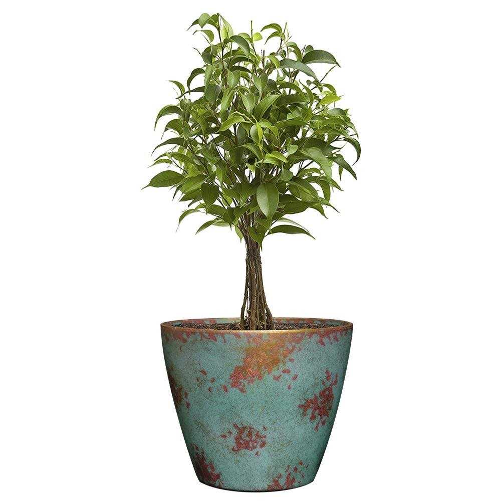 Classic Home And Garden 807-378R Vogue Planter