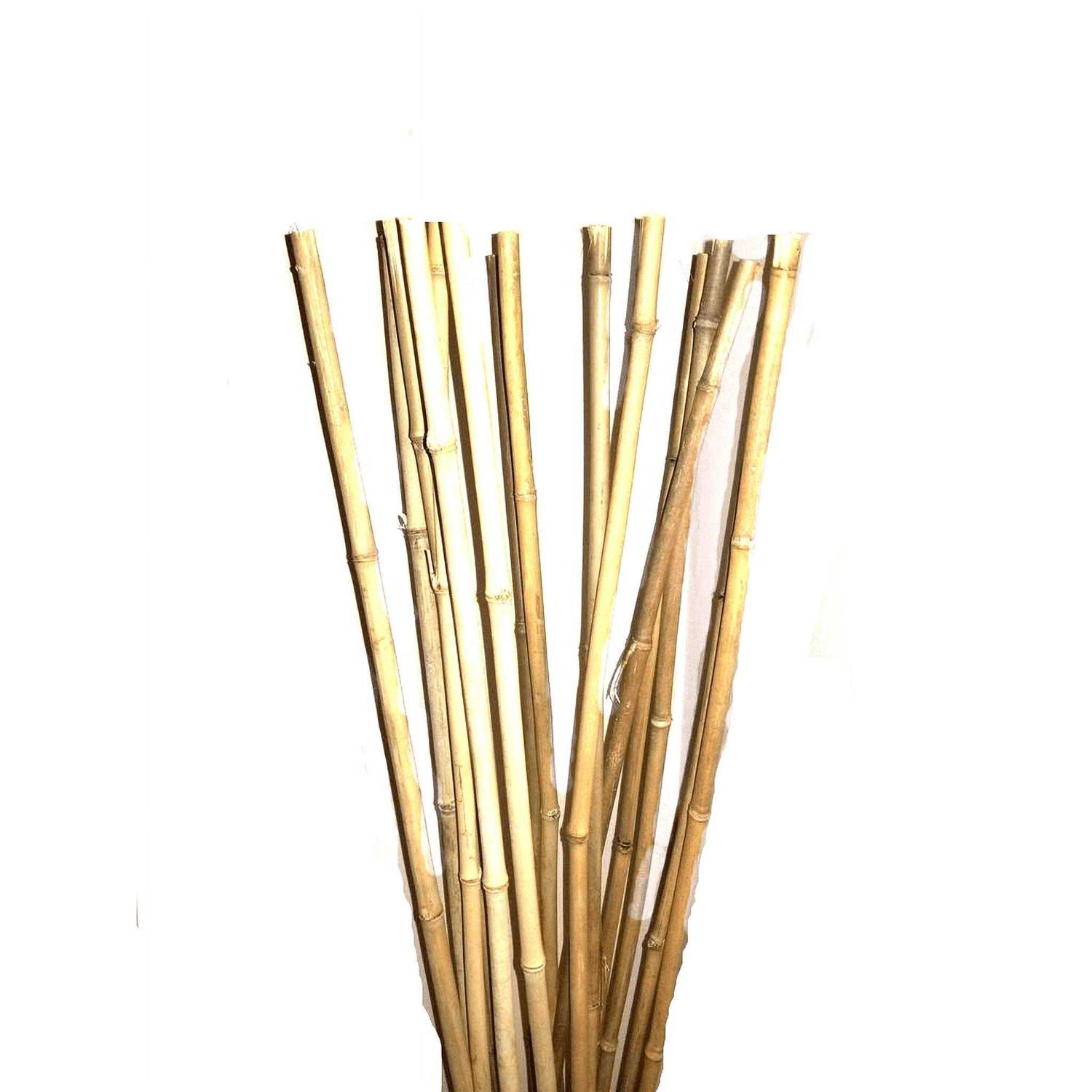 5 Tall Thick Bamboo Poles