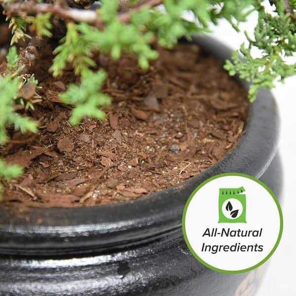 Bonsai Soil by Perfect Plants