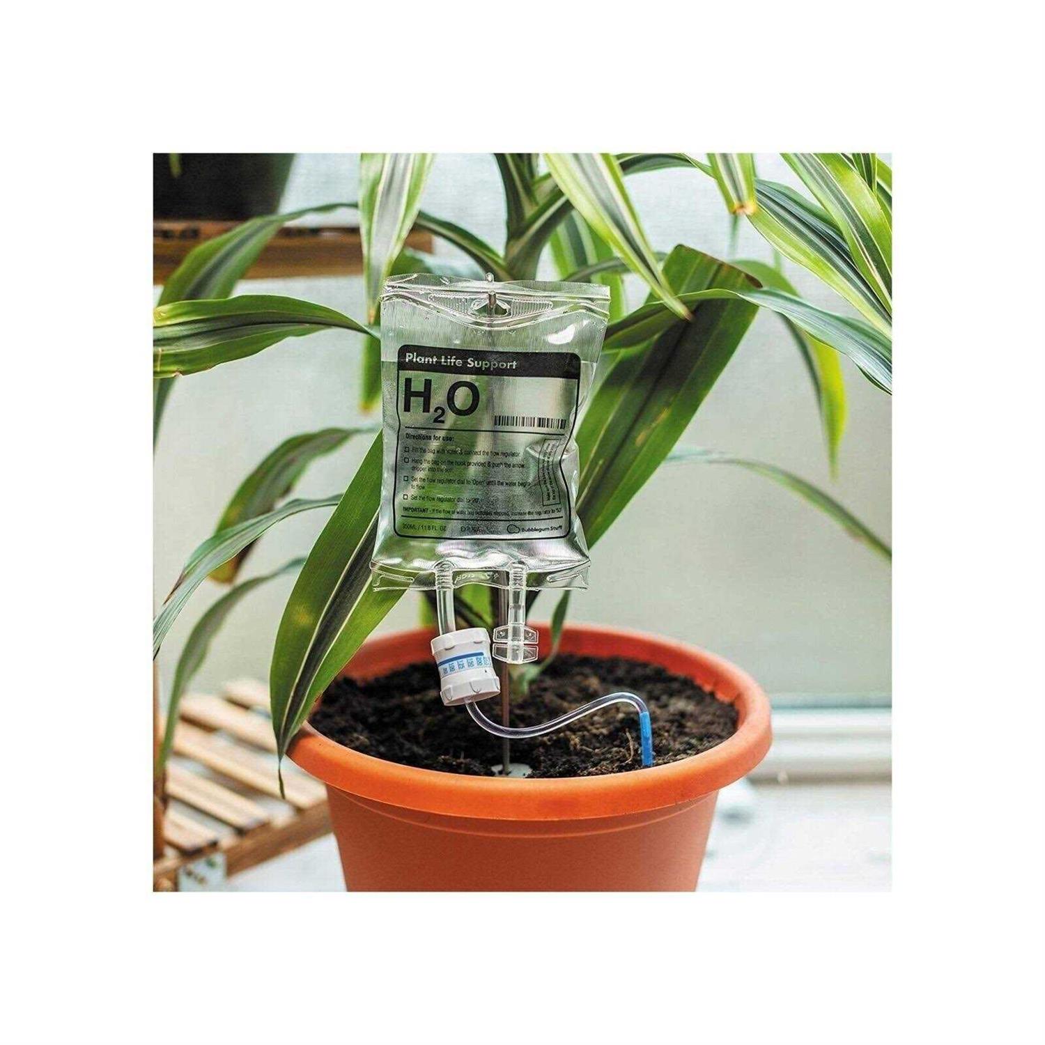 Bubblegum Stuff Plant Life Support