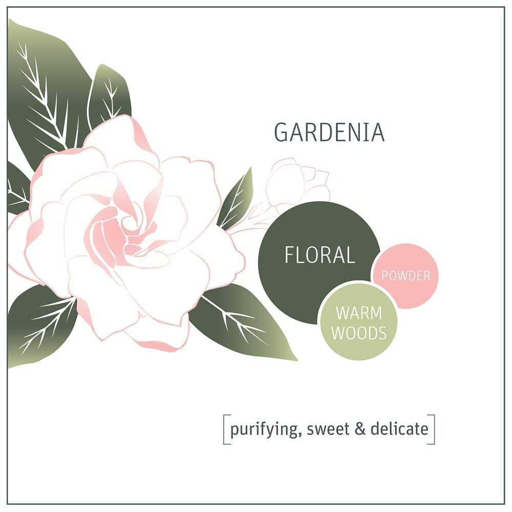 3 in 1 Laundry Detergent Pods Grab Green