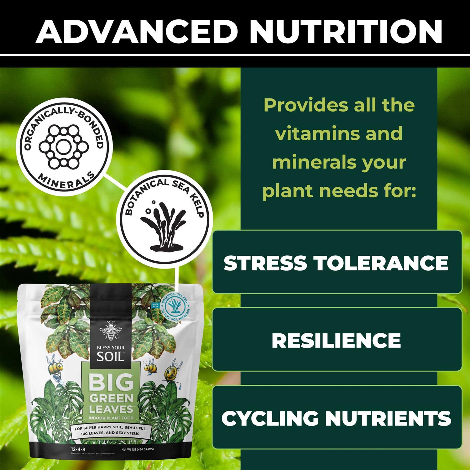 Bless Your Soil Big Green Leaves All Purpose House Plant Food Container Plants