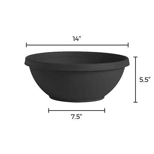 Bloem Terra Bowl Planter