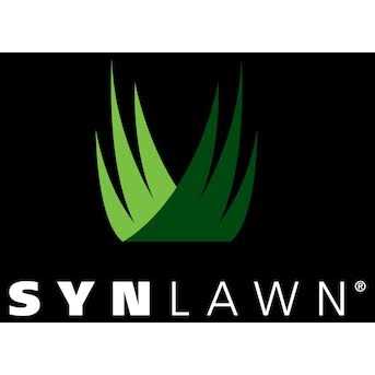 SYNLawn Landscape 3-ft x 11-ft Indoor or Outdoor Fescue Artificial Grass MULTI-8260-HC-030110