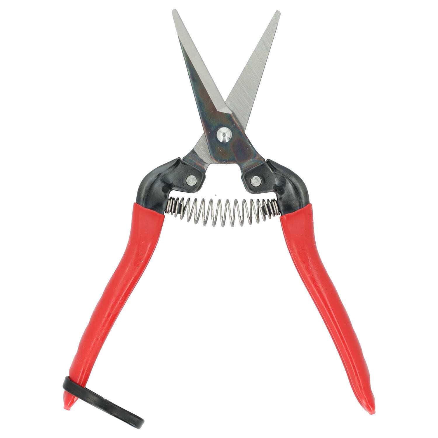 ARS Fruit Pruners 300L