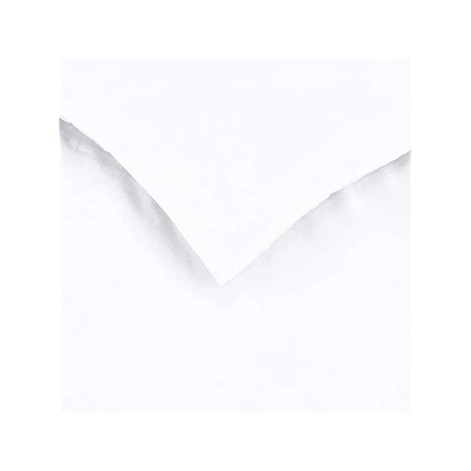 Amazon Basics Lightweight Microfiber Duvet Cover Set with Snap Buttons