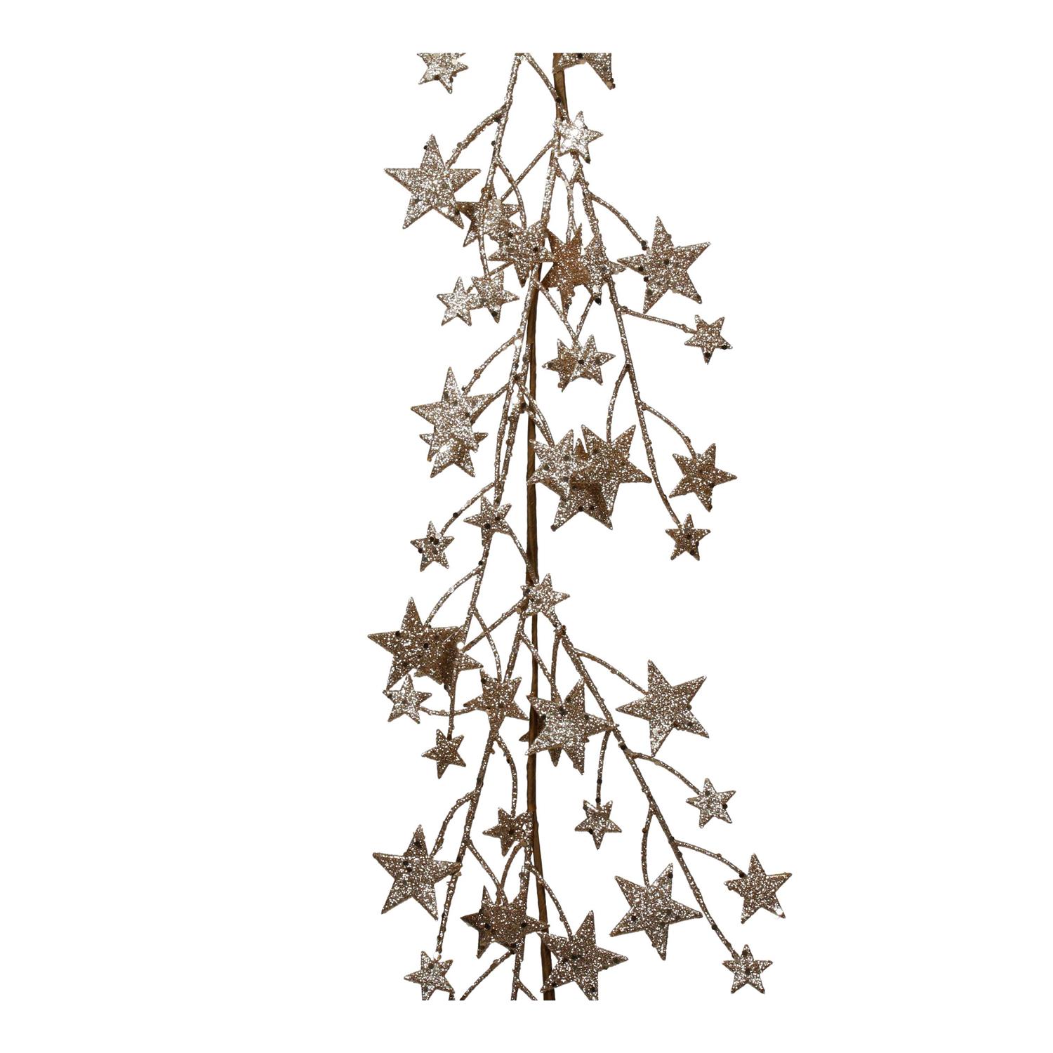 6Ft Metallic Star Garland by Ashland