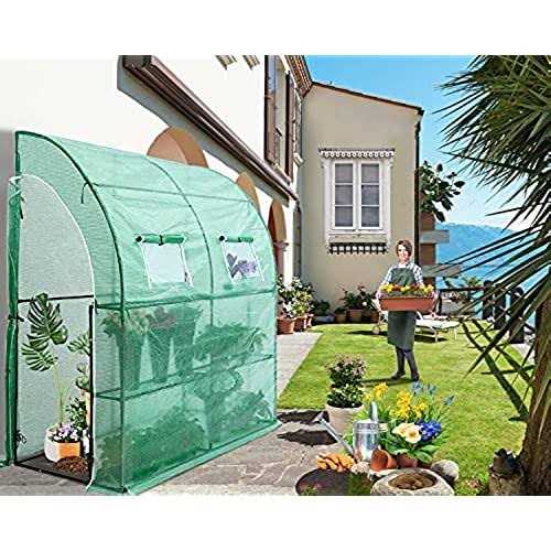 Abccanopy Walk-in Greenhouse Indoor Outdoor with 2 Tier 4 Shelves Portable Gardening Greenhouse