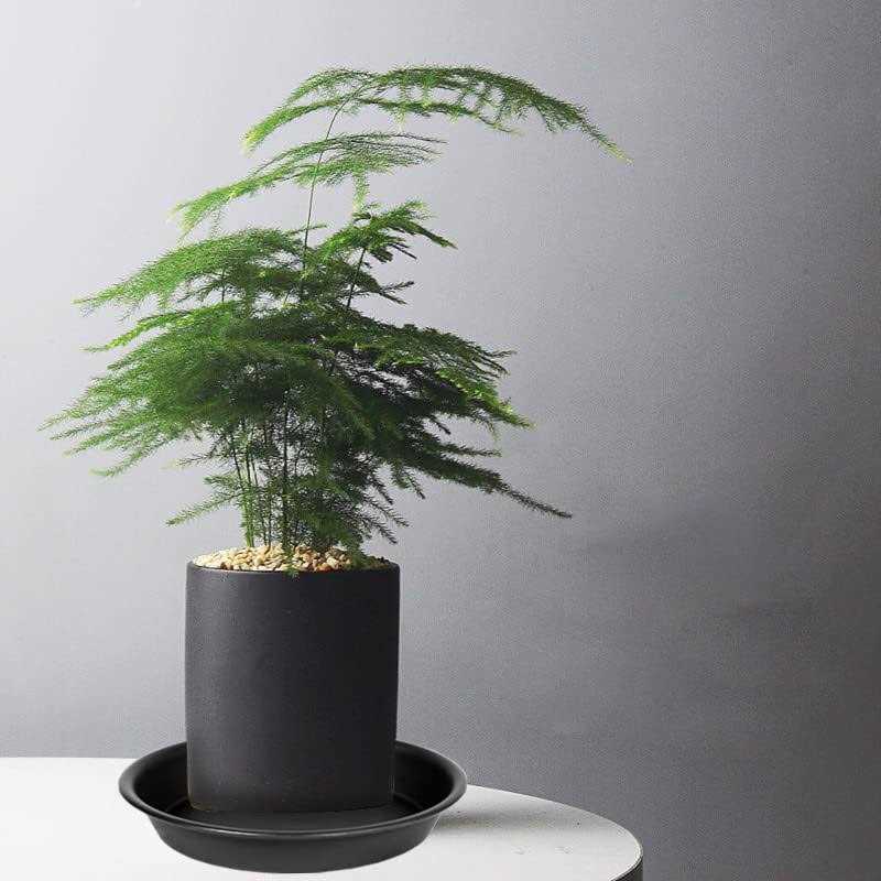 Bleuhome 3 Pack Plant Saucer Depth Tray