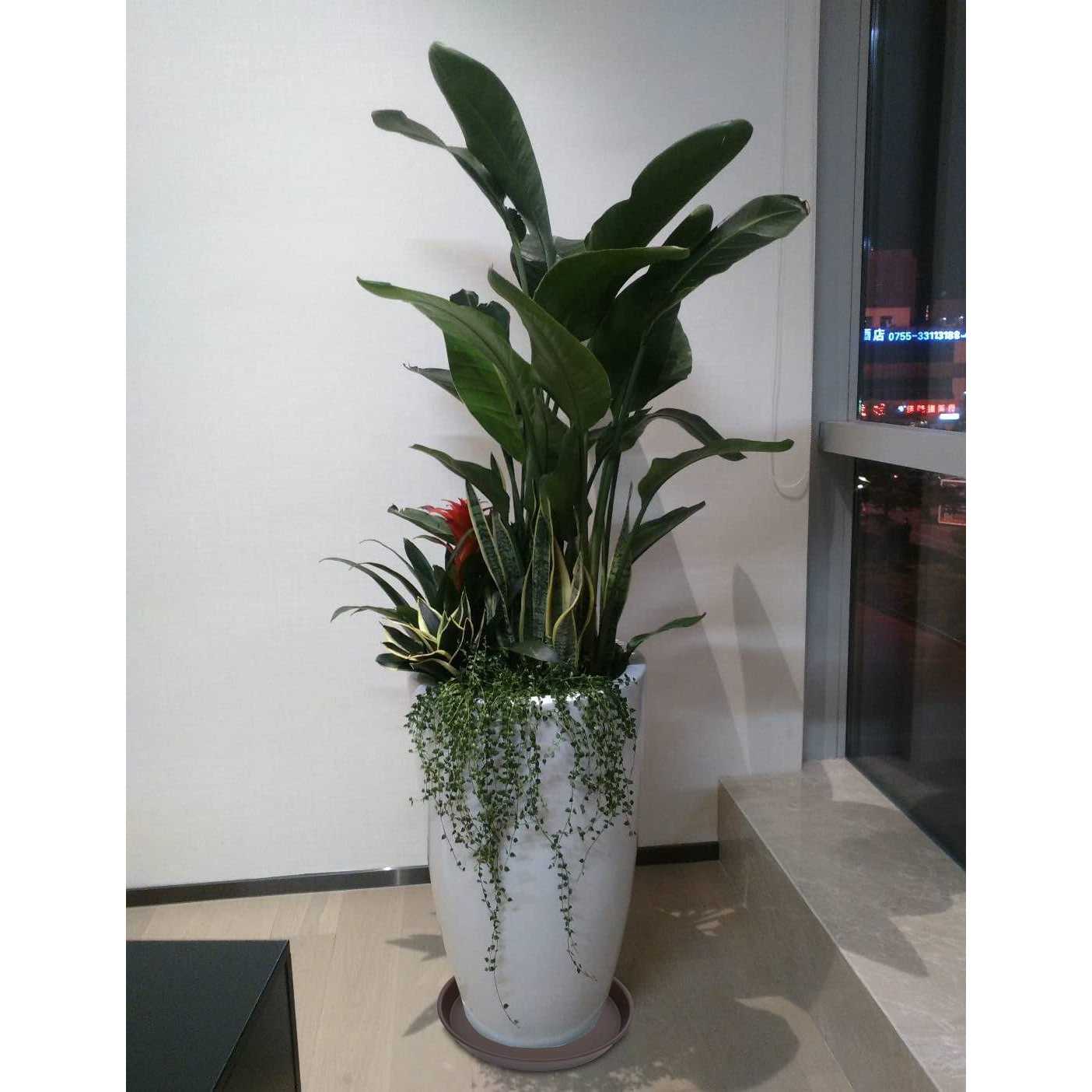 Angde 6 Pack Plant Saucer Plant Round