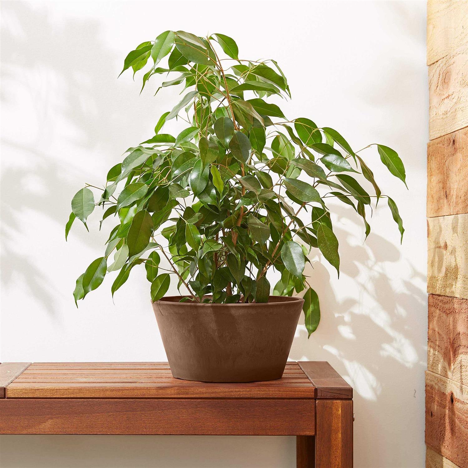 Arcadia Garden Products Sleek 10 in. x 5