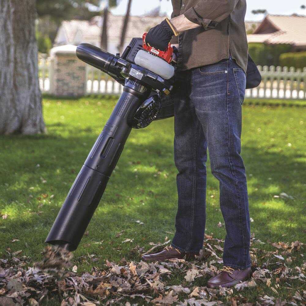 Troy-Bilt Gas Leaf Blower