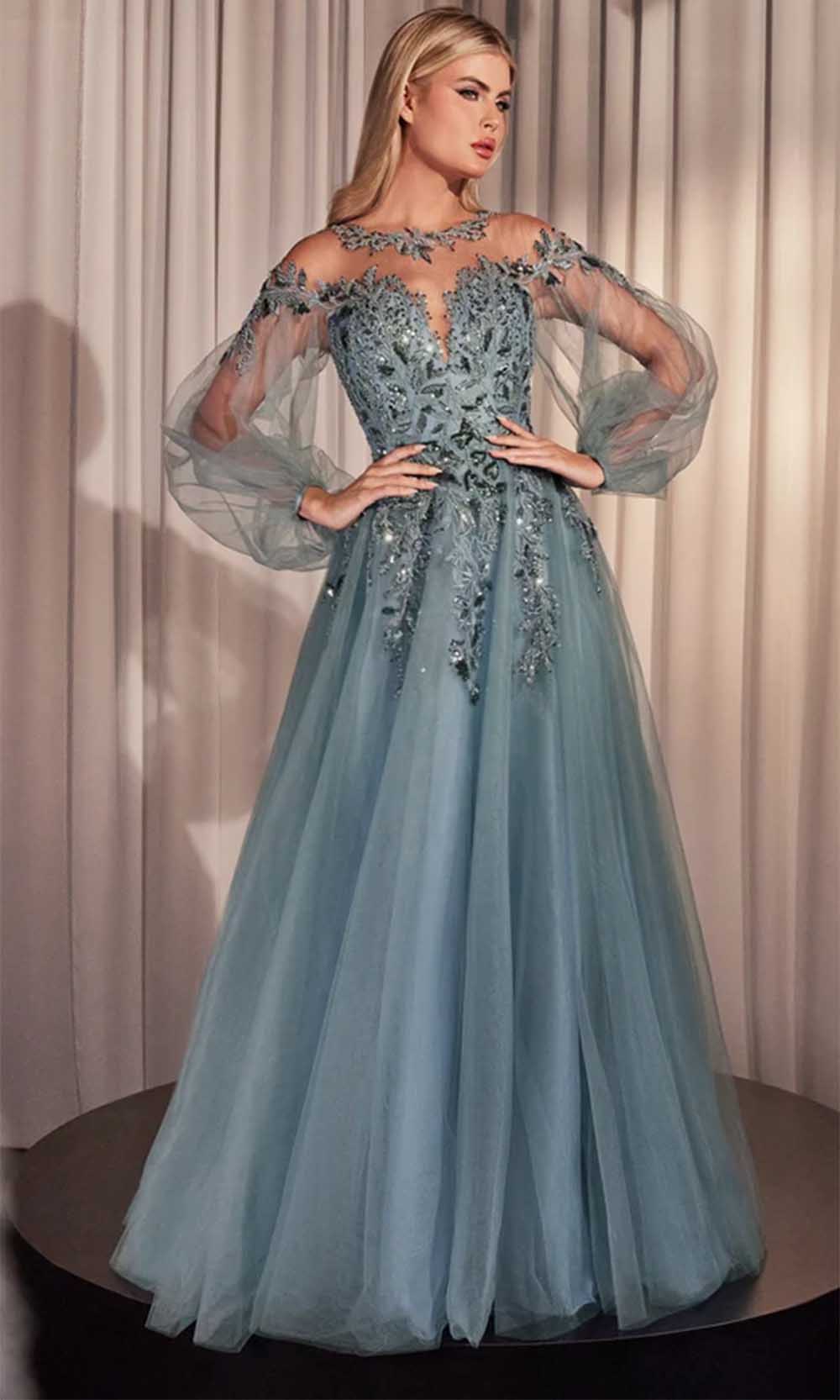 Bishop Sleeve Evening Gown