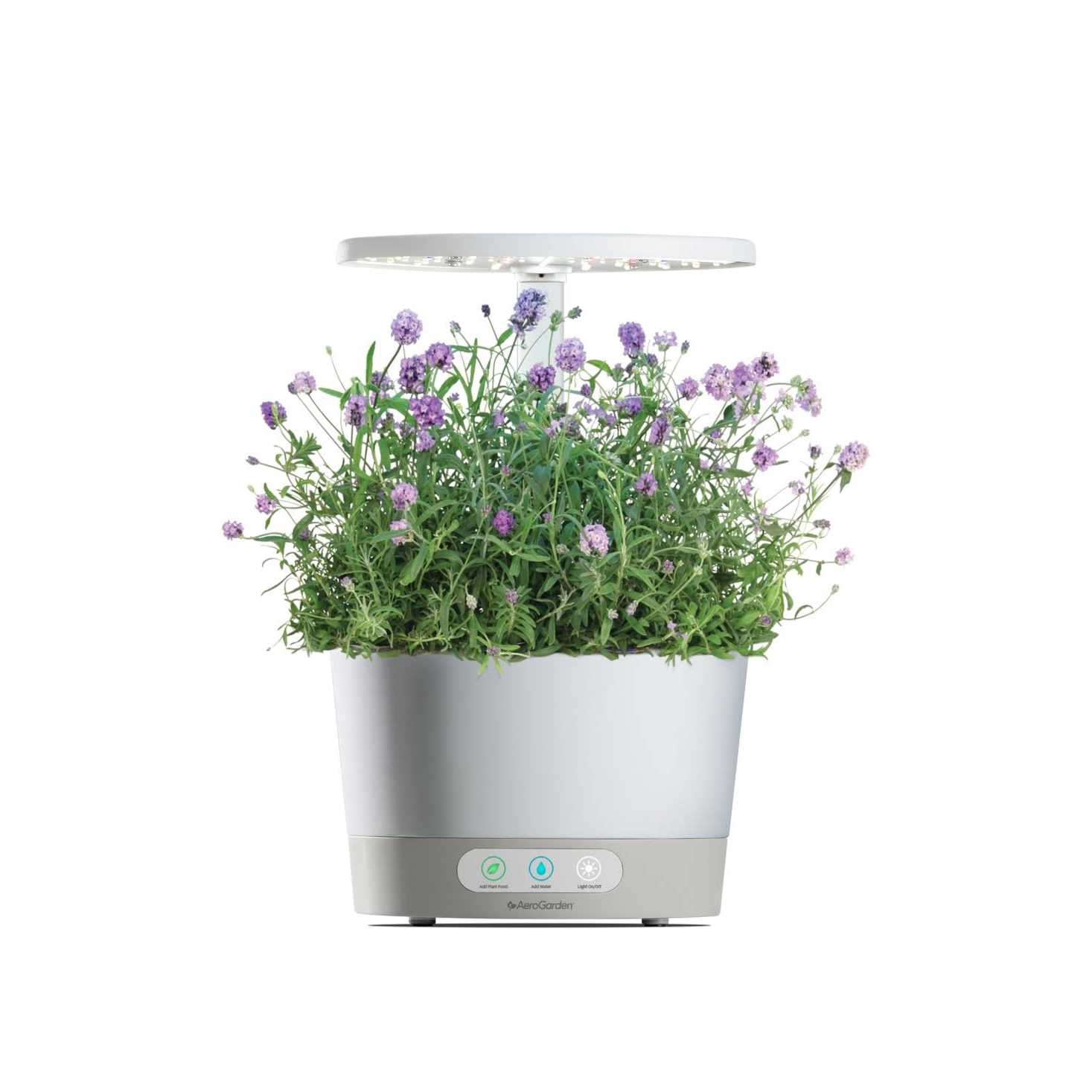 Aerogarden Lots of Lavender Seed Pod Kit