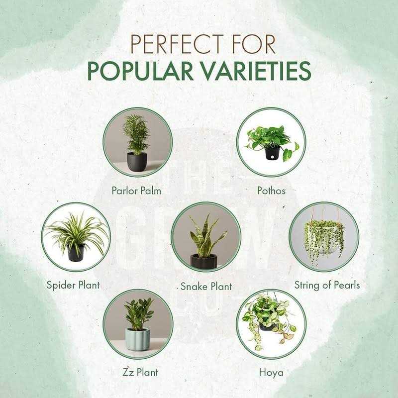 The Grow Co Organic Indoor Plant Food All-Purpose Liquid Fertilizer