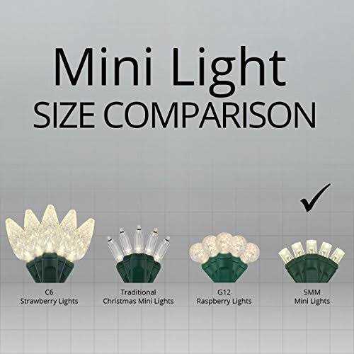 Wintergreen Lighting 70 Christmas LED Lights