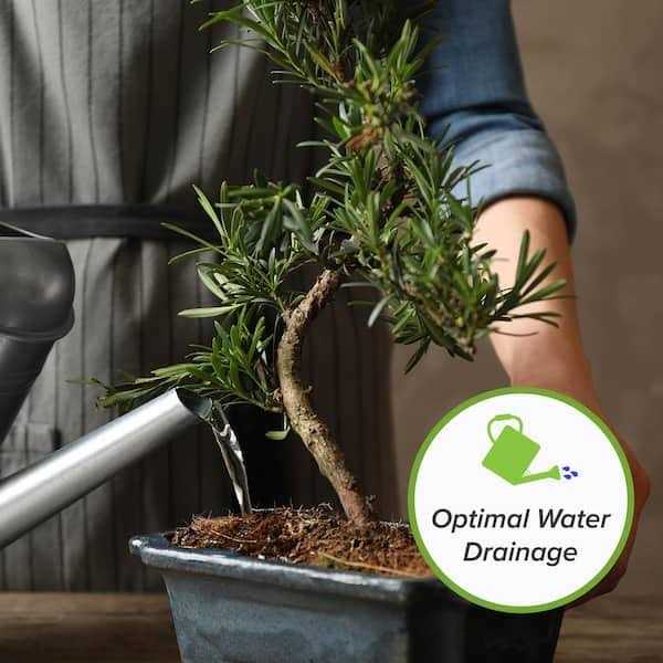 Bonsai Soil by Perfect Plants