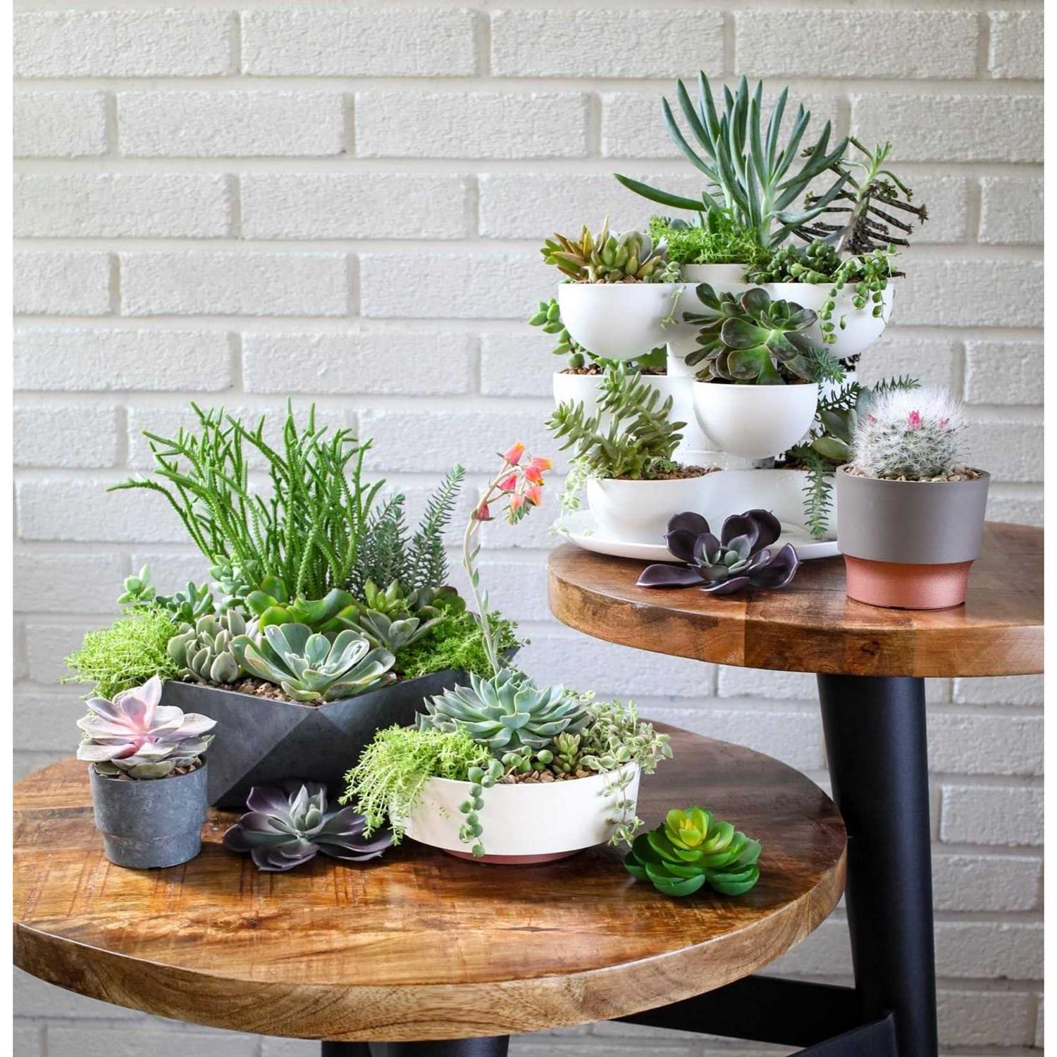 The HC Companies 6 Inch Round Capri Succulent Pot