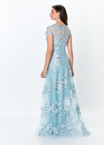 119945W Embroidered Floral ALine Gown