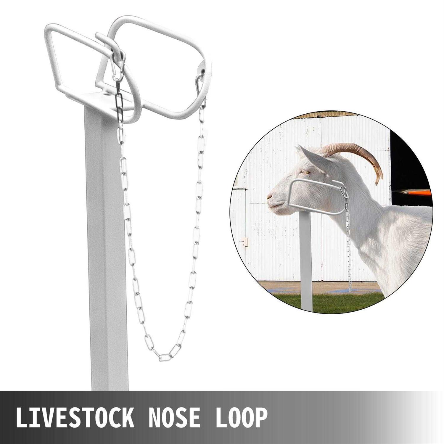 VEVOR Livestock Stand Trimming Stand 51×23 inches Livestock Trimming Stands for Goats YYZJJSCDLZ