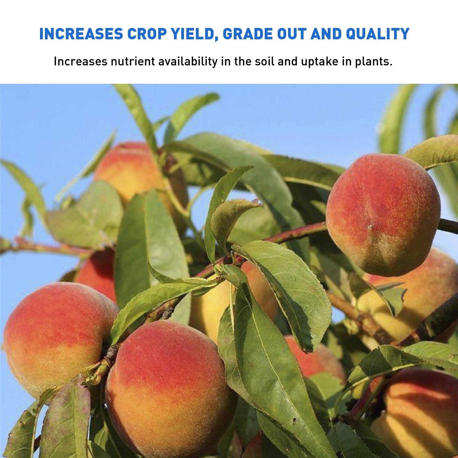 Azomite Micronized 44 lb Bag