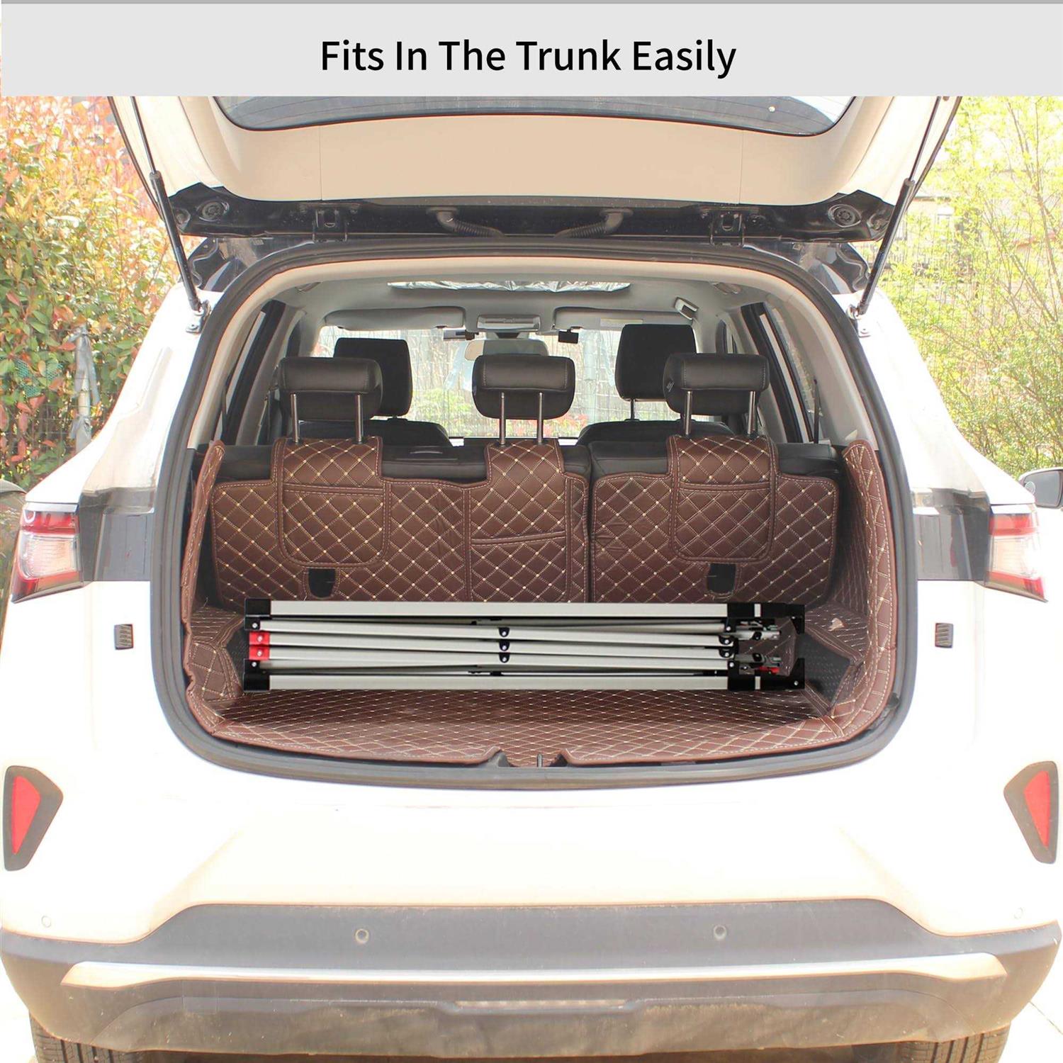 CROWN SHADES 10×10 Pop Up Canopy Patented Center Lock One Push Canopy Tent