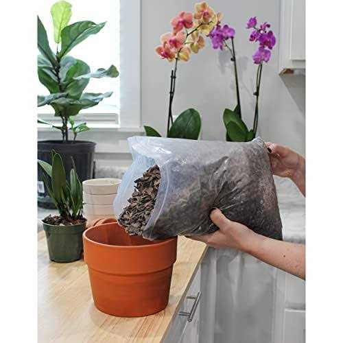 All Purpose Orchid Mix Potting Soil Indoor Plants Orchid Bark & Organic Perlite for Plants