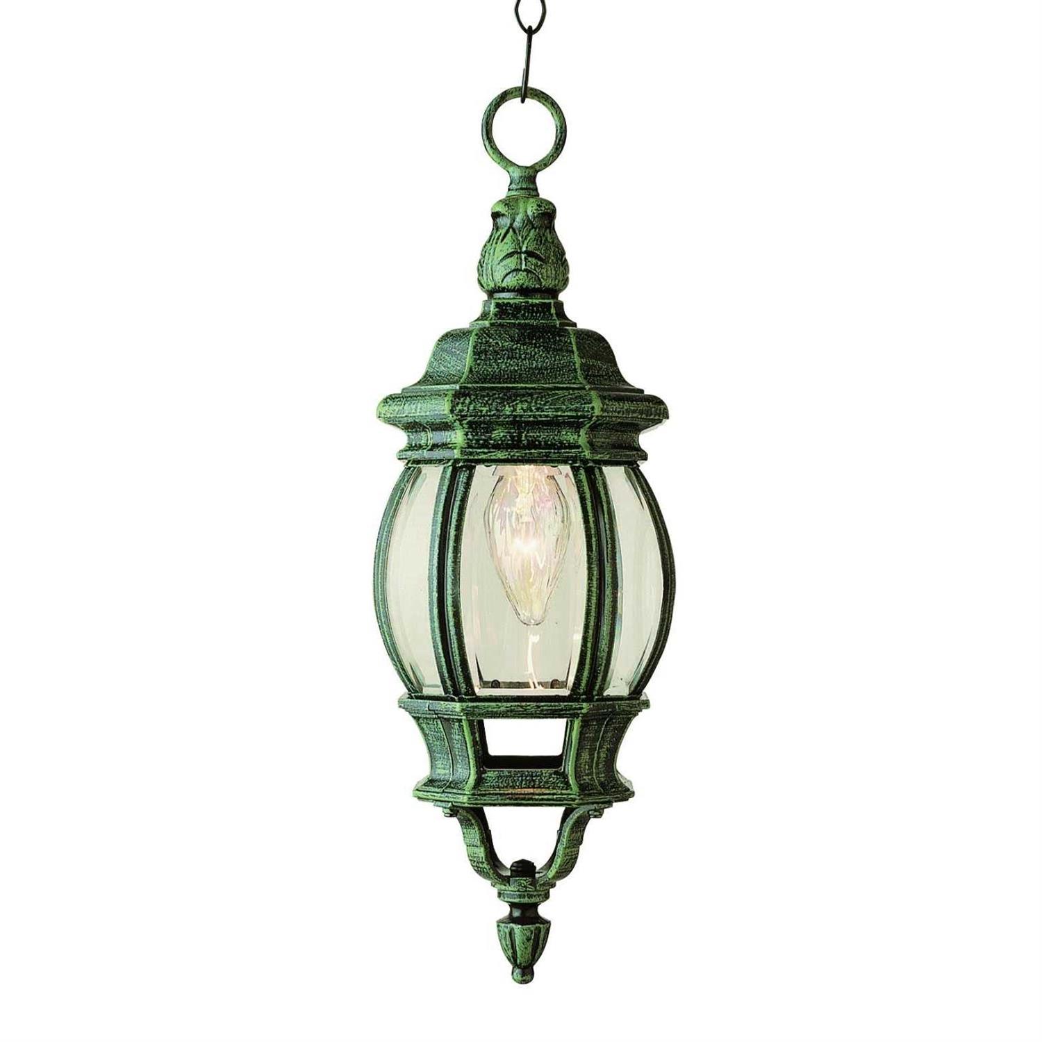 Trans Globe 4065 1 Light Hanging Lantern