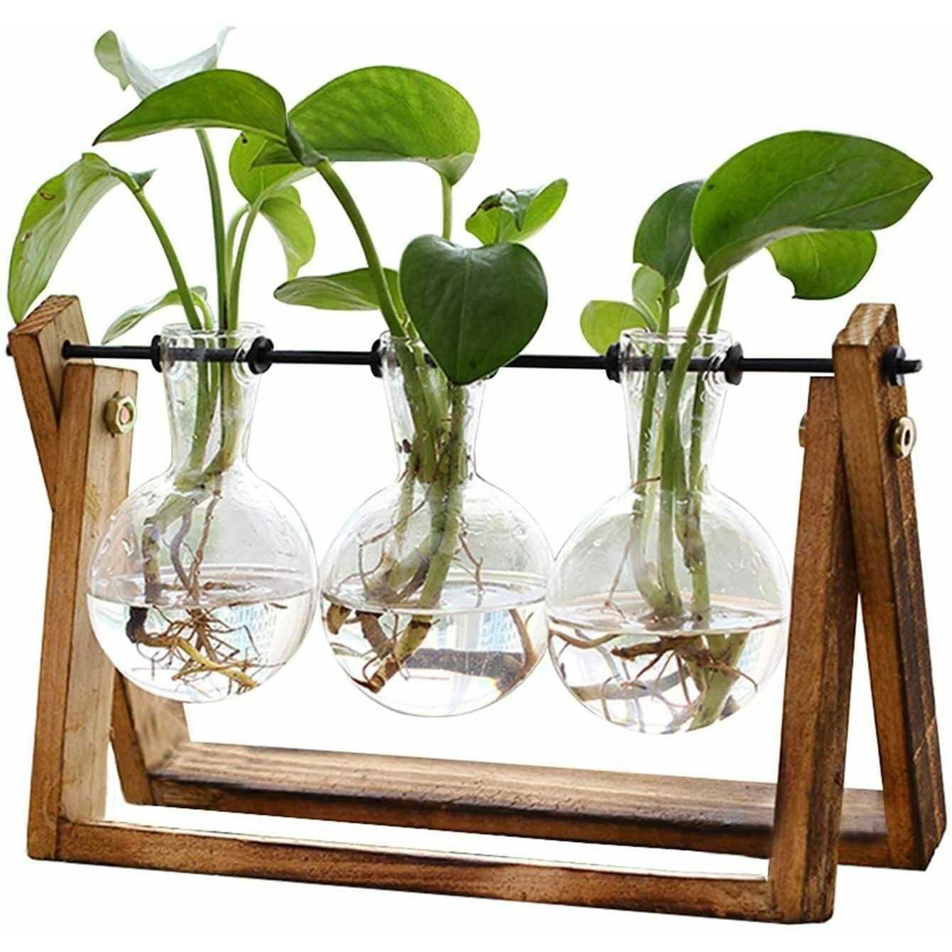 Xxxflower Plant Terrarium with Wooden Stand Air Planter Bulb Glass Vase Metal Swivel Holder Retro Tabletop for Hydroponics Home Garden Office