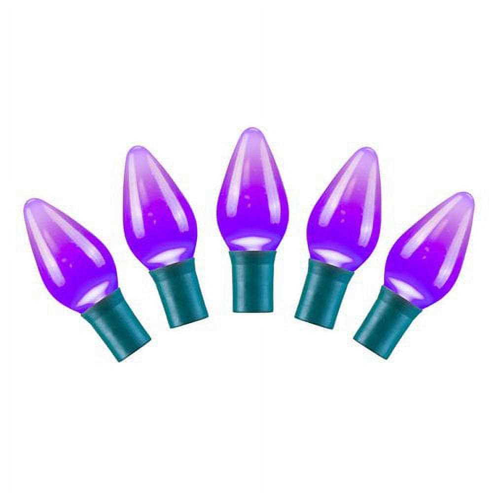 Vickerman 25 Red-White-Green Ceramic C7 LED Light on Green Wire