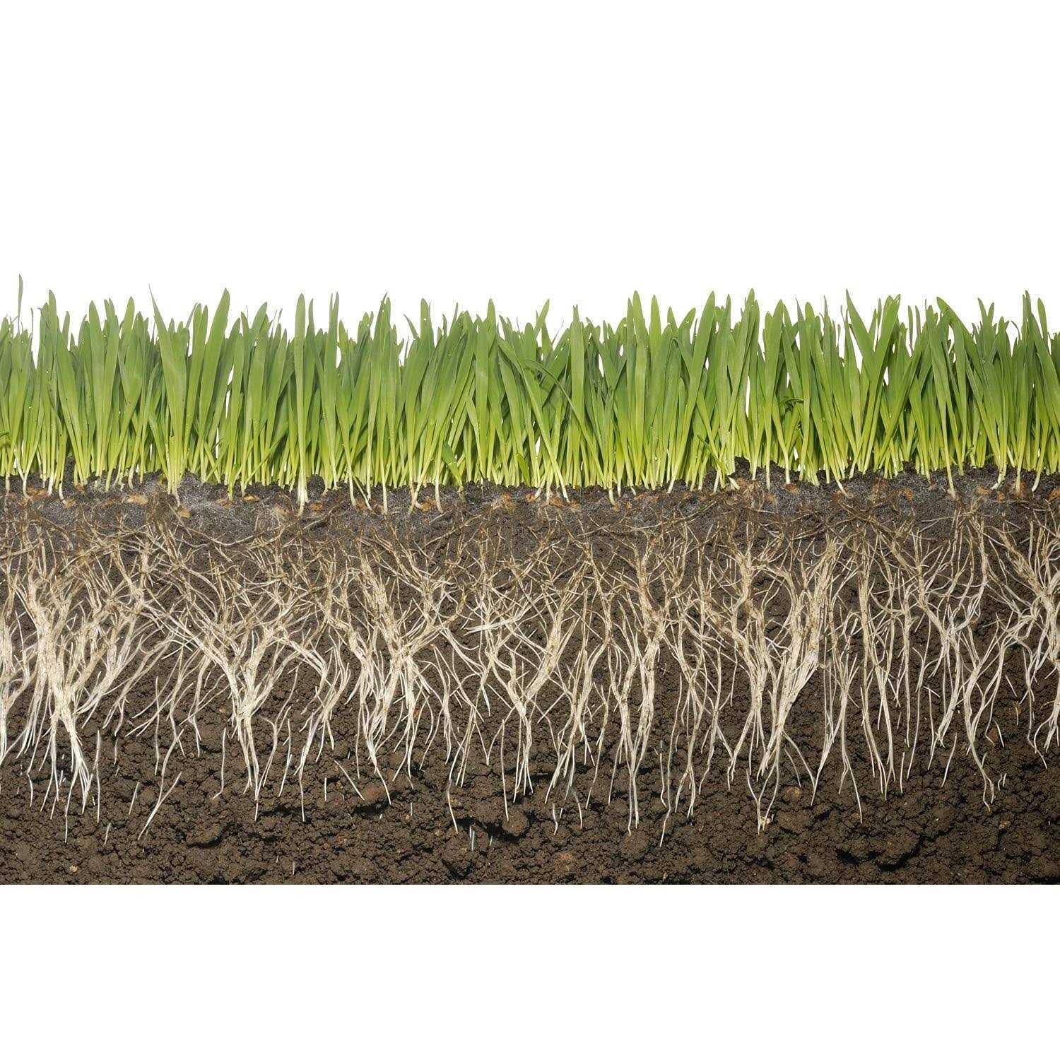 Commercial Grade Super Absorbent Polymer Potassium Based Water Crystal