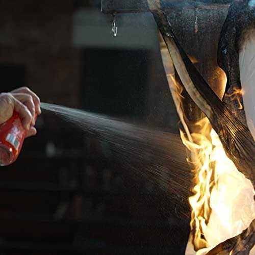 StaySafe 5-in-1 Fire Extinguisher