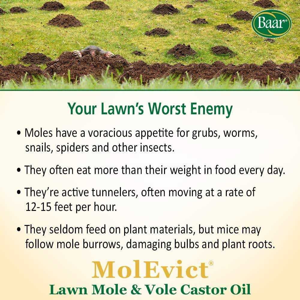 Baar Lawn Mole Castor Oil