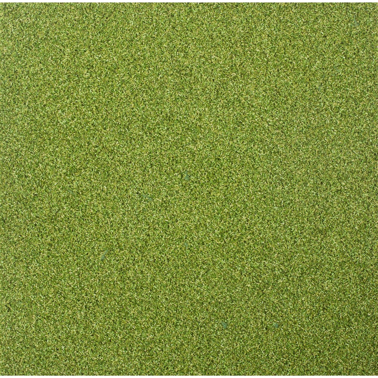 SYNLawn Multi-Use 15-ft Cut To Length Indoor or Outdoor Artificial Grass MULTI-8642-NR-1500