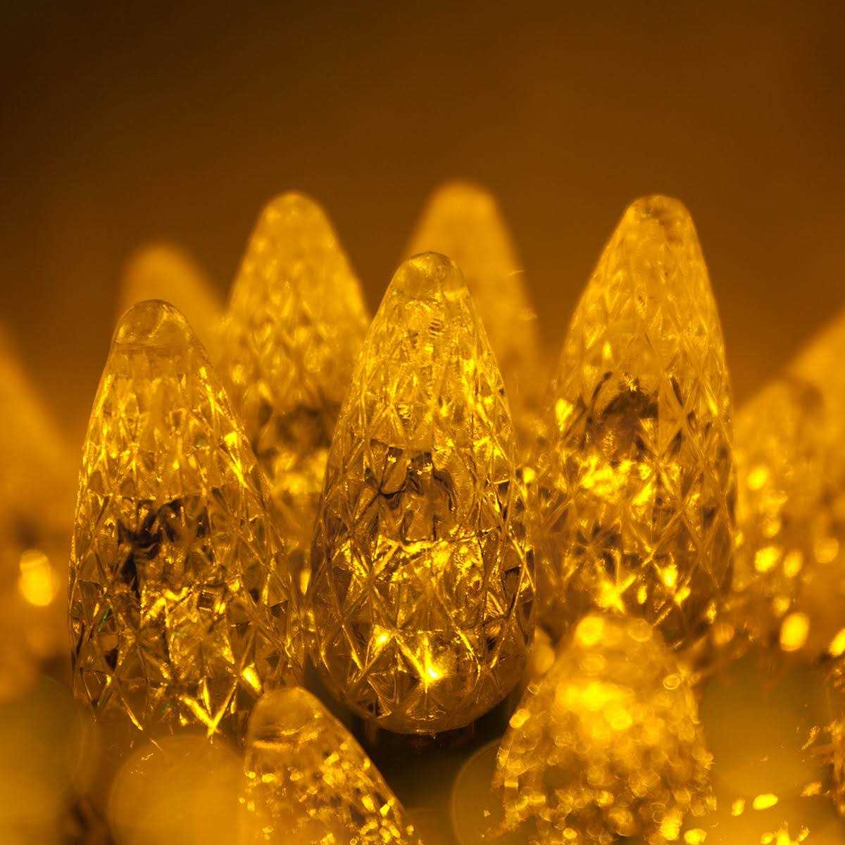 Wintergreen Lighting 25 LED Christmas Lights