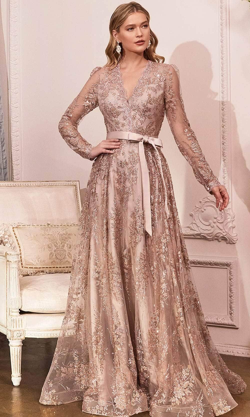 Embellished Long Sleeve V-neck Gown