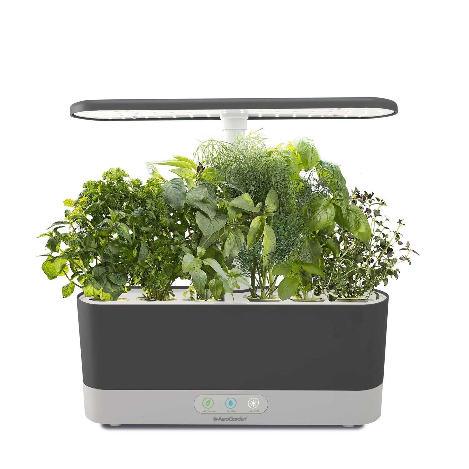 AeroGarden Harvest Slim with Gourmet Herb Seed Pod Kit
