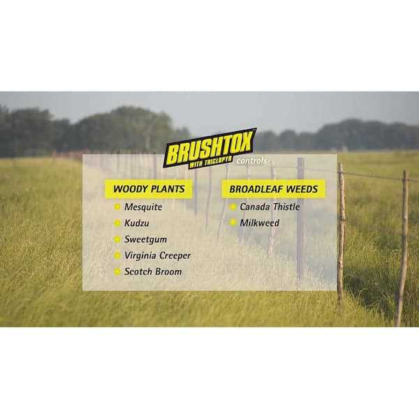 Brushtox Brush Killer 32 oz