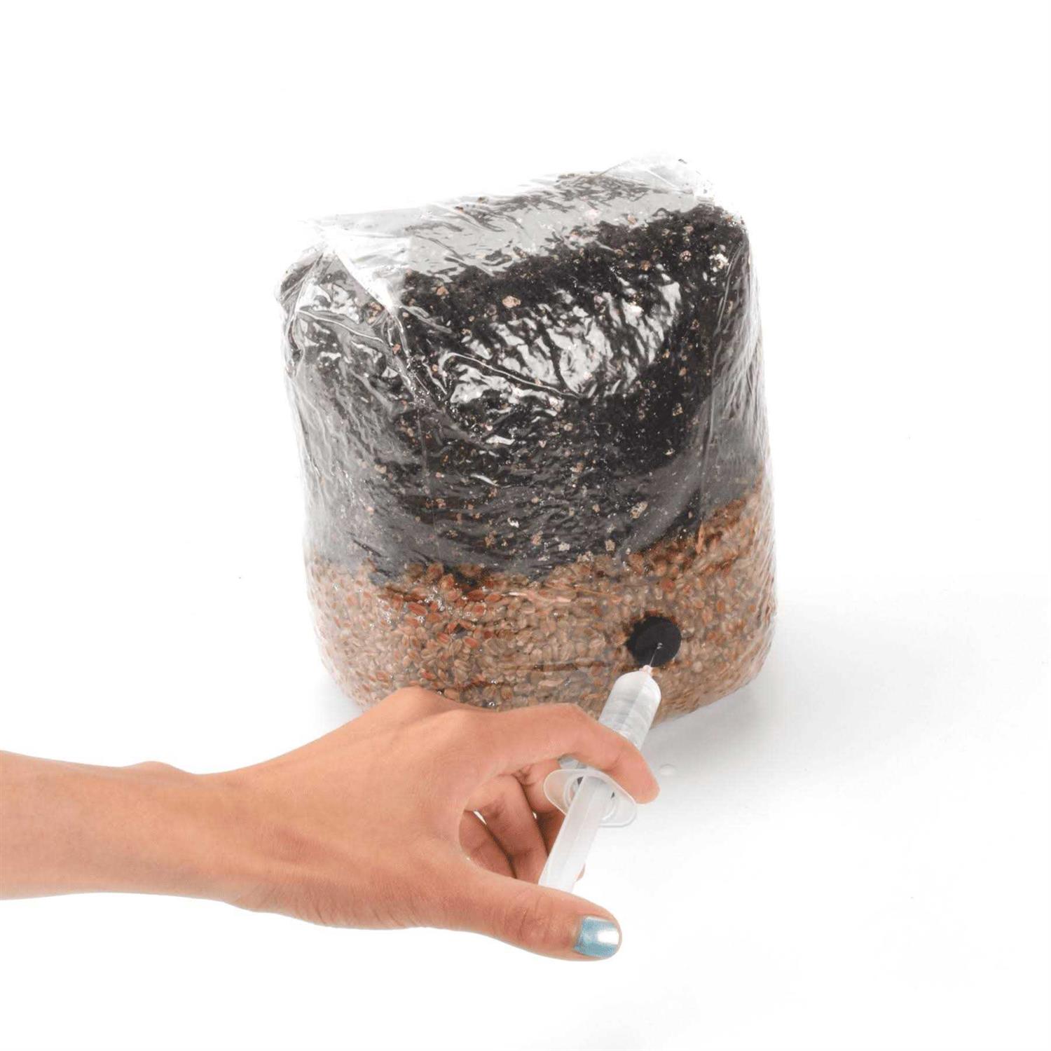 All-in-one Mushroom Grow Bag