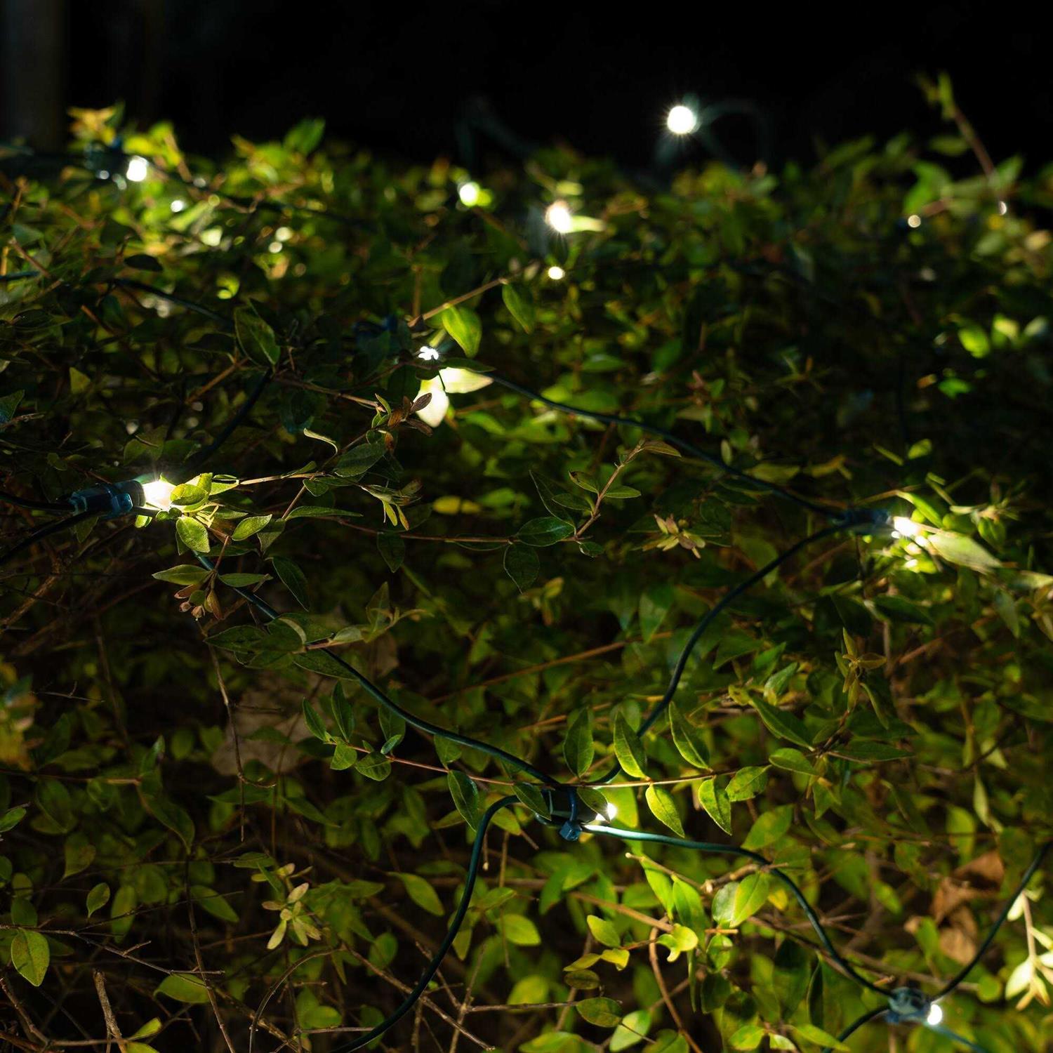 4′ x 6′ 5mm SoftTwinkle LED Net Lights