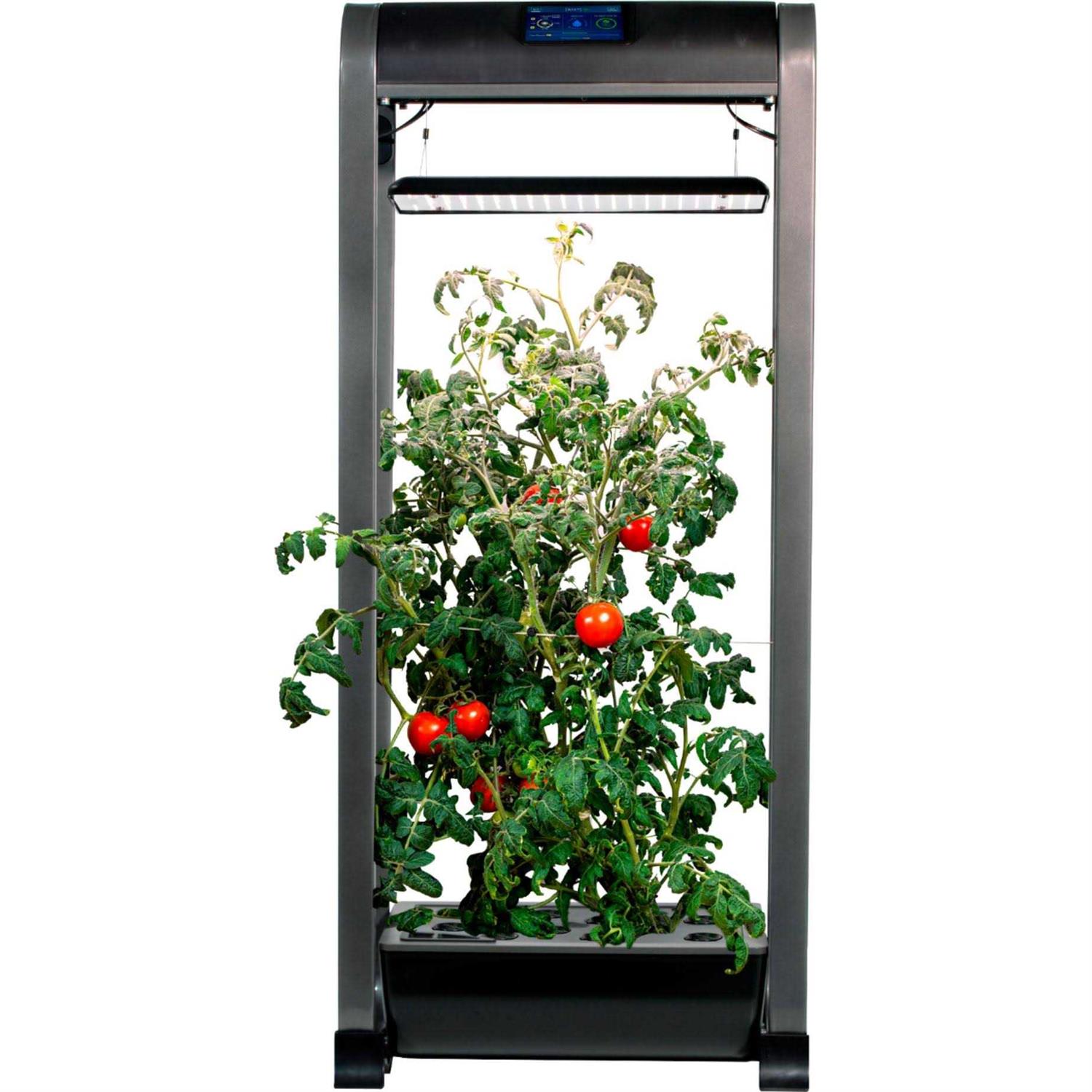 AeroGarden Farm 12XL with Salad Bar Seed Pod Kit