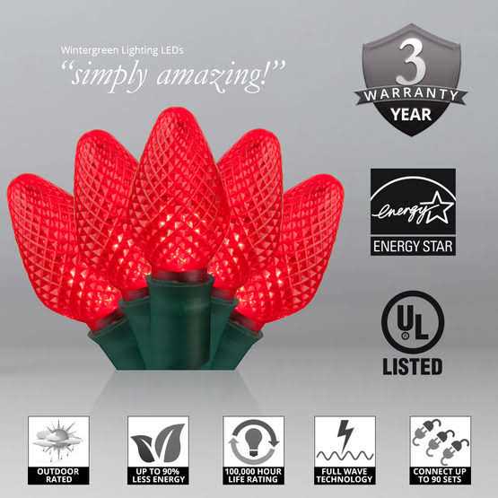 Wintergreen Lighting 25 LED Christmas Lights