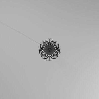 AllModern Lotus 1-Light Single Teardrop Pendant Finish