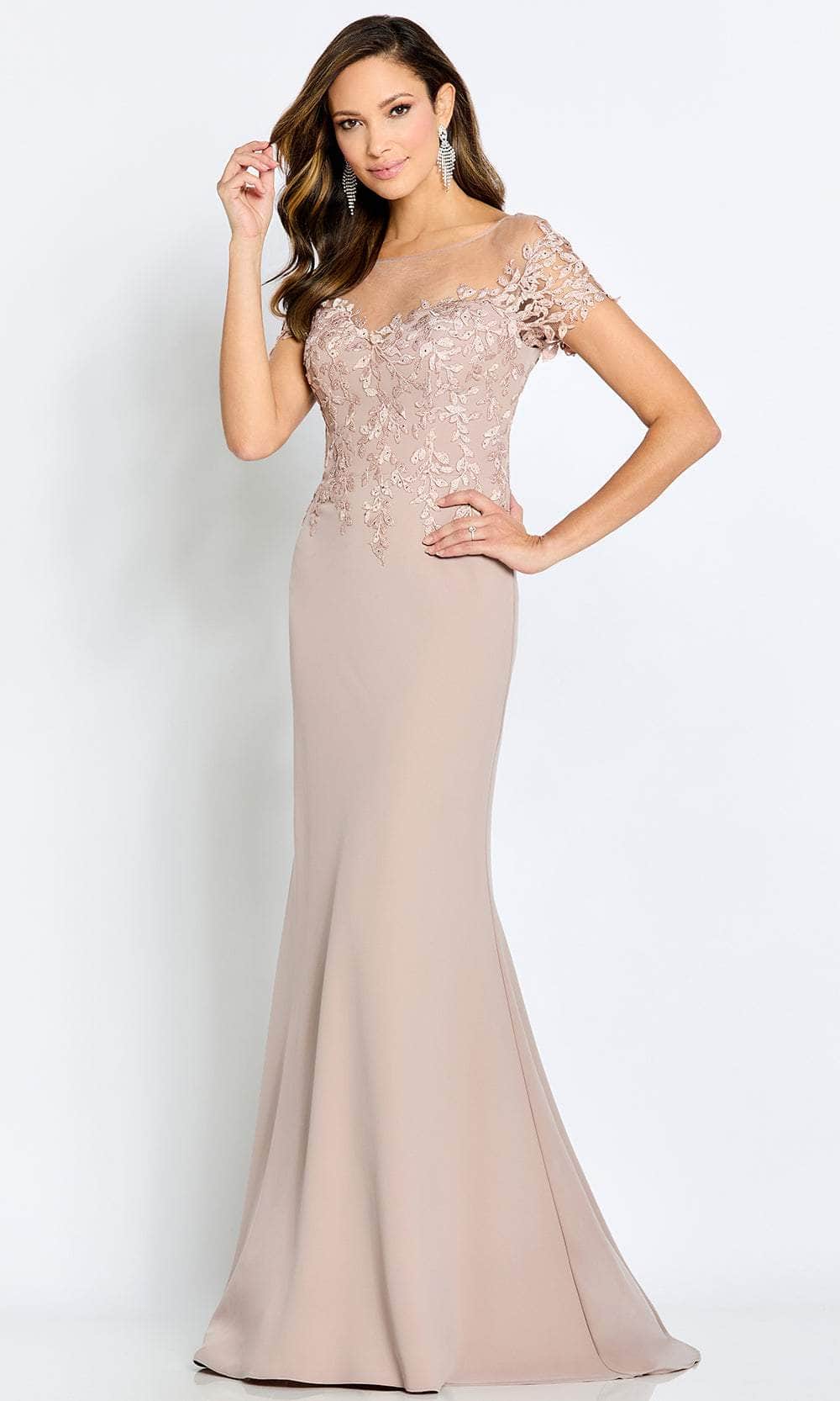 Illusion Bateau Lace Evening Gown