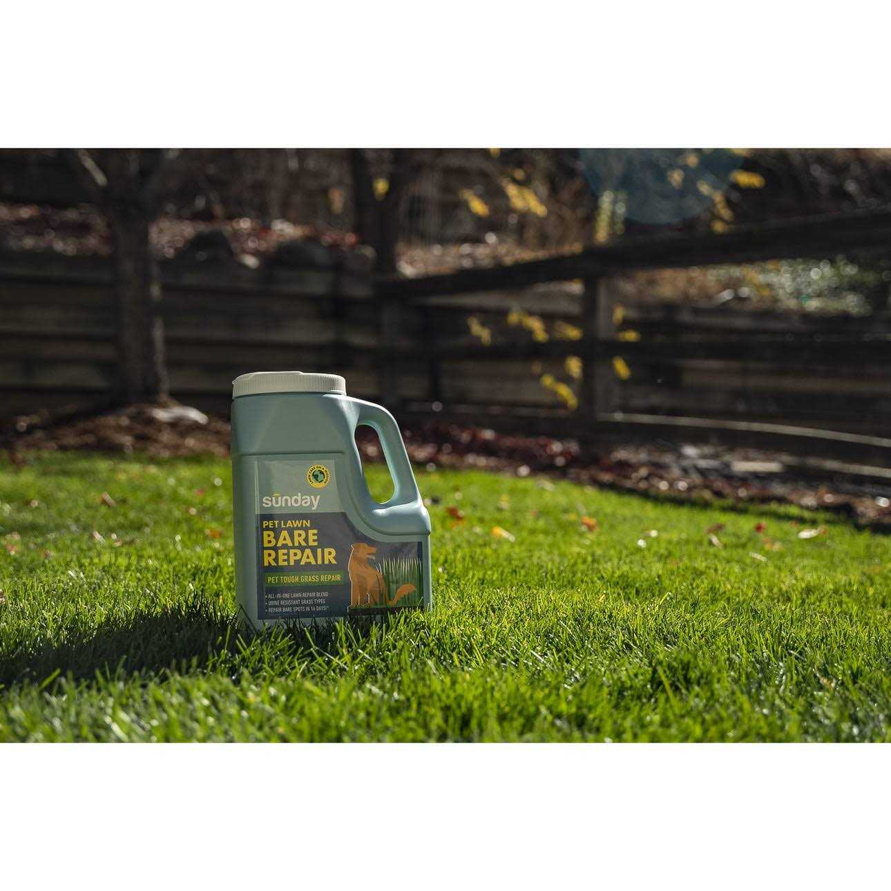 Sunday Pet Lawn Bare Repair Grass