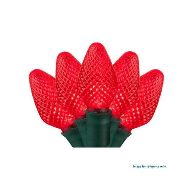 Wintergreen Lighting 25 LED Christmas Lights