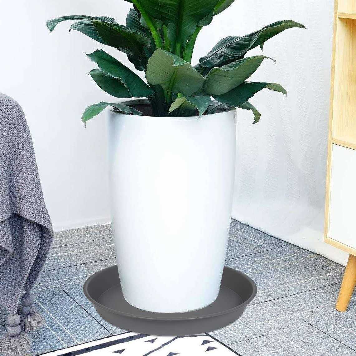 Angde 6 Pack Plant Saucer Plant Round