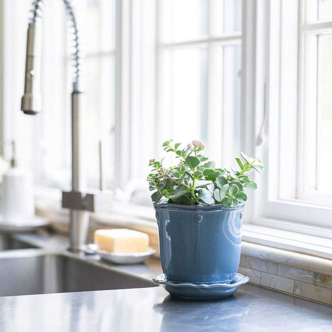 Berry & Thread Planter & Saucer Juliska